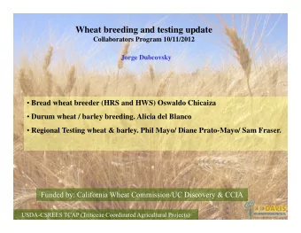 Wheat breeding and testing update  Collaborators Program 10/11/2012  Jorge Dubcovsky  Bread