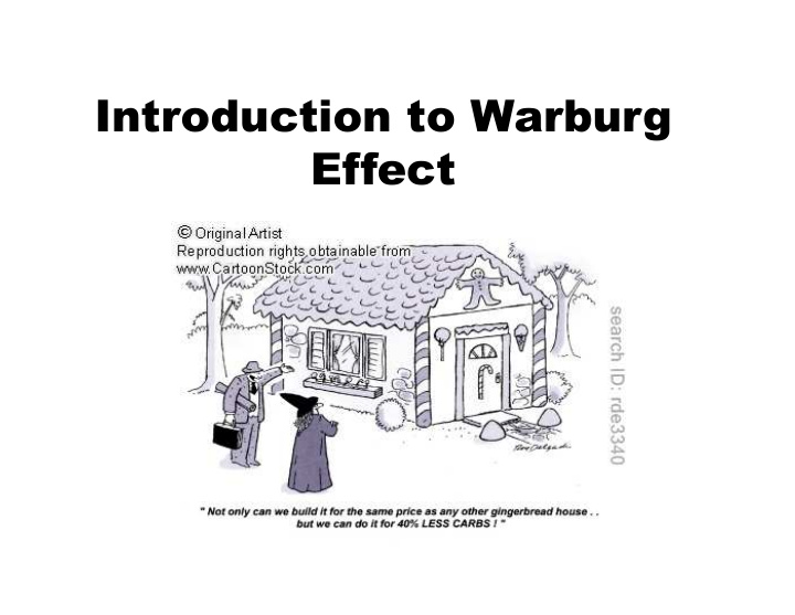 introduction to warburg effect