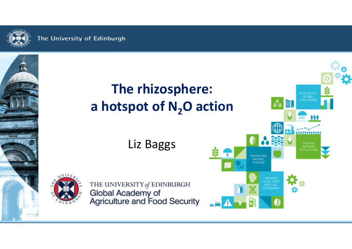 the rhizosphere a hotspot of n 2 o action