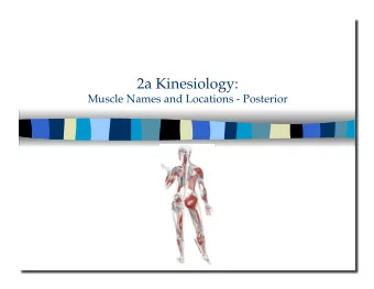 2a Kinesiology:  Muscle Names and Locations - Posterior  2a Kinesiology:  Muscle Names and