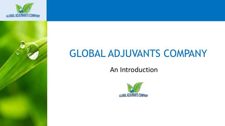 global adjuvants company