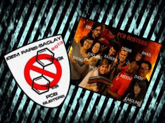 2  3  62% of the people we interviewed  are totally ignorant about this danger  4  And you ?  5