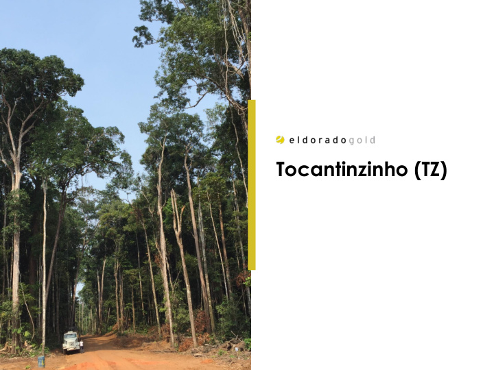 tocantinzinho tz forward looking statement