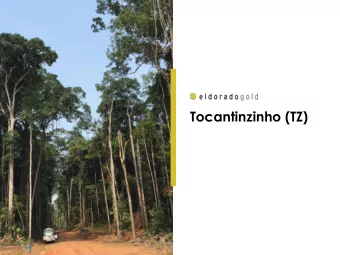 Tocantinzinho (TZ)  Forward Looking Statement  Certain of the statements made in this Presentation
