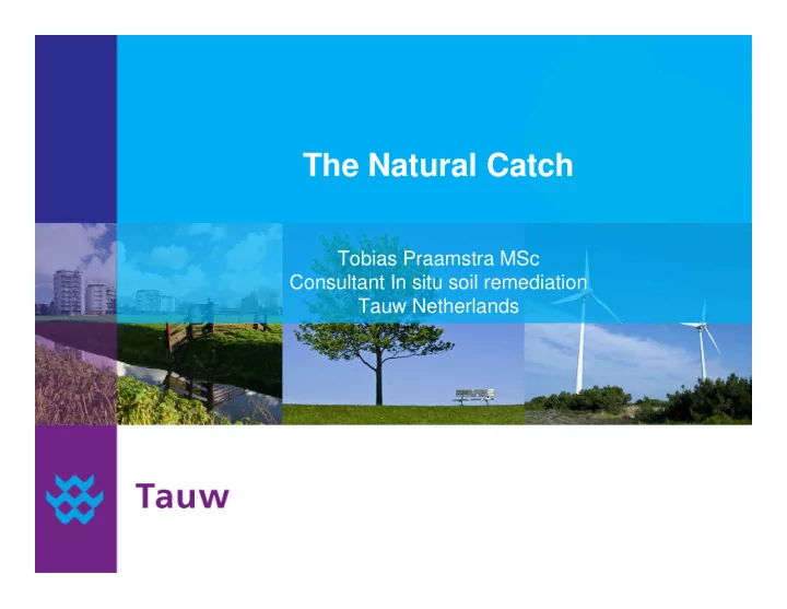 the natural catch
