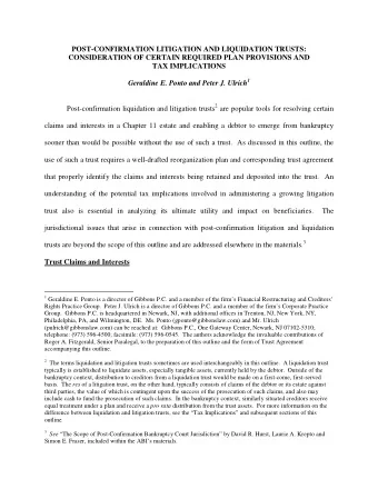 POST-CONFIRMATION LITIGATION AND LIQUIDATION TRUSTS:  CONSIDERATION OF CERTAIN REQUIRED PLAN