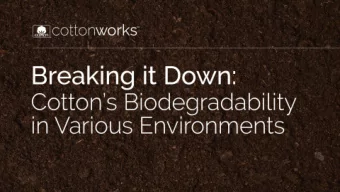 With hundre ds o f e a sily se a rc ha b le  re so urc e s, we  re  yo ur g o -to  te xtile  to