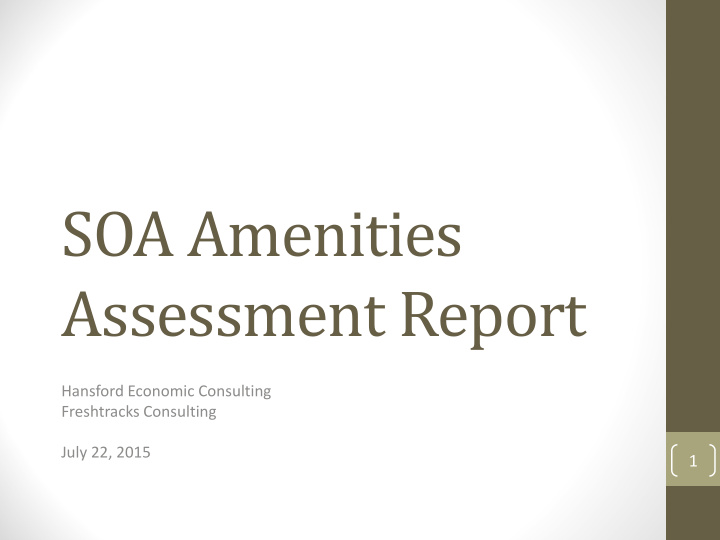 soa amenities assessment report
