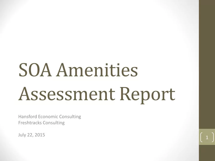 soa amenities assessment report