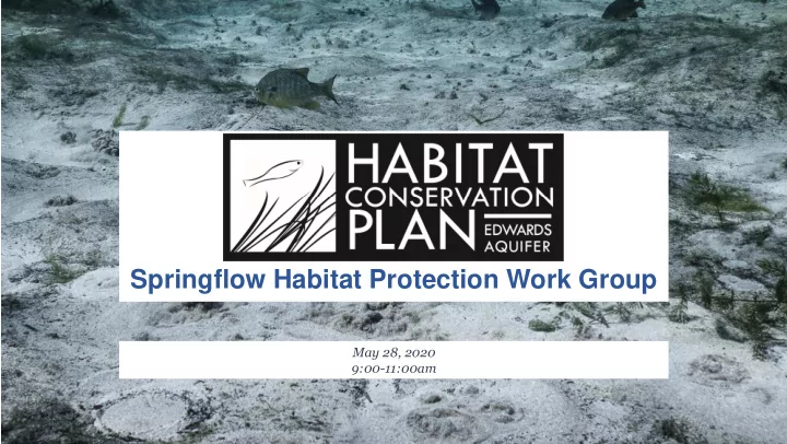 springflow habitat protection work group