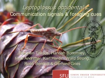Leptoglossus occidentalis  occidentalis:  :  Leptoglossus  Communication signals &amp; foraging