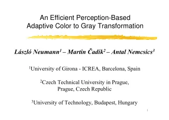 An Efficient Perception-Based  Adaptive Color to Gray Transformation Lszl Neumann 1  Martin