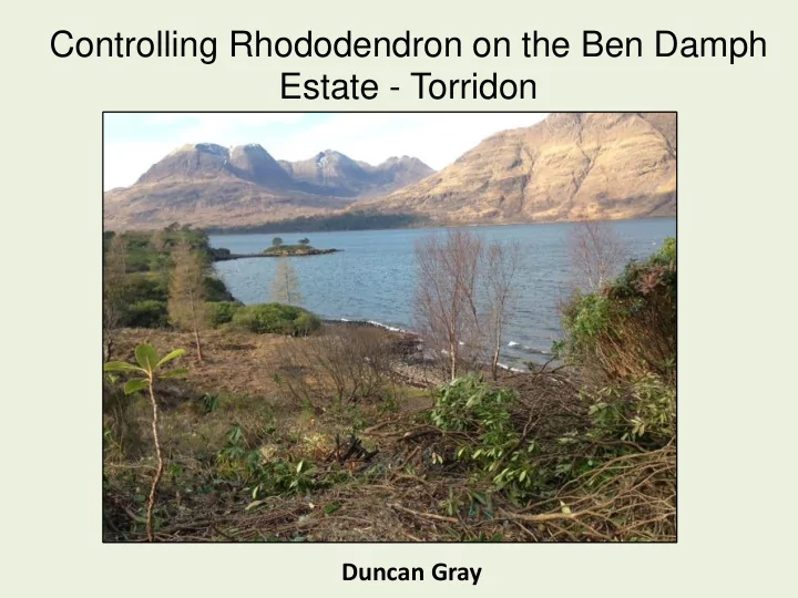 estate torridon