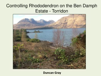 Estate - Torridon  Duncan Gray  Cut and Burn  Stem Injection  Lever and Mulch  After  Spray