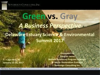 Green vs. Gray  A Business Perspective  Delaware Estuary Science &amp; Environmental  Summit 2017