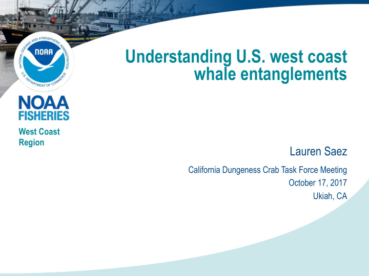understanding u s west coast whale entanglements