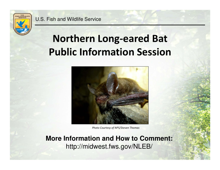 northern long eared bat public information session