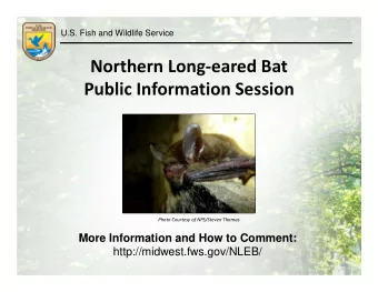 Northern Long  eared Bat Public Information Session Photo Courtesy of NPS/Steven Thomas  More