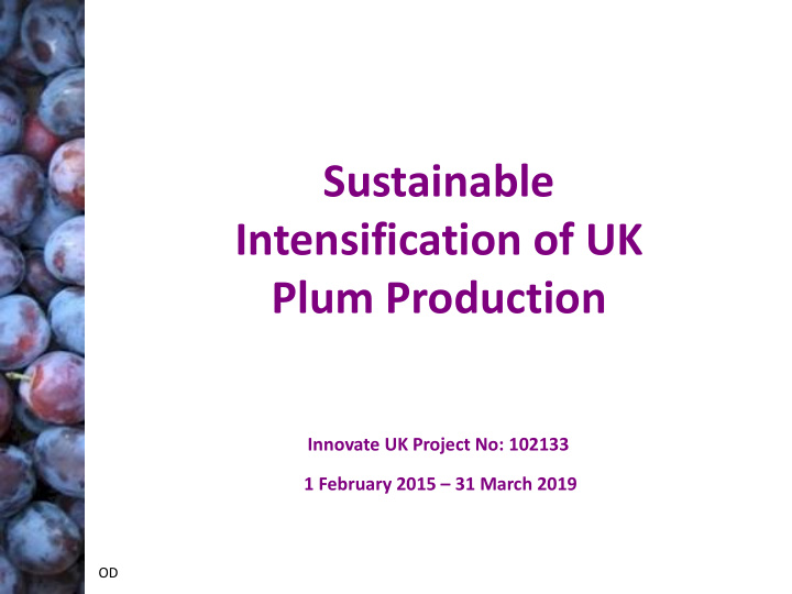 sustainable intensification of uk plum production