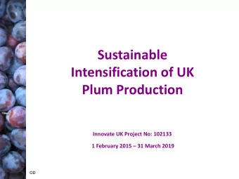 Sustainable  Intensification of UK  Plum Production  Innovate UK Project No: 102133 1 February 2015