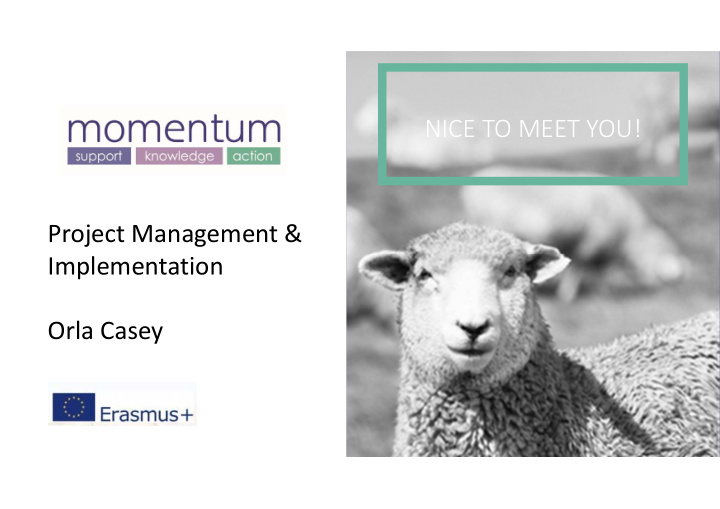 nice to meet you project management amp implementation