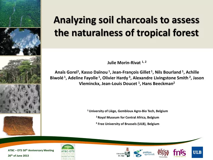 analyzing soil charcoals to assess the naturalness of