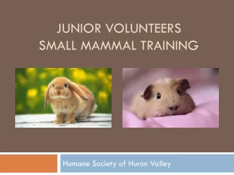 JUNIOR VOLUNTEERS  SMALL MAMMAL TRAINING  Humane Society of Huron Valley  Agenda  Learning about