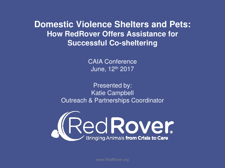 domestic violence shelters and pets