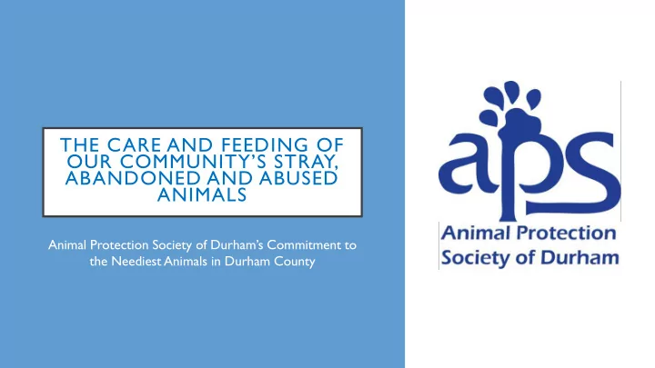 the care and feeding of our community s stray abandoned