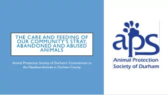 THE CARE AND FEEDING OF  OUR COMMUNITYS STRAY,  ABANDONED AND ABUSED  ANIMALS  Animal Protection