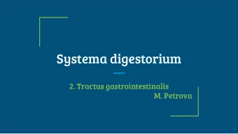 Systema digestorium  2. Tractus gastrointestinalis  M. Petrova  Anatomical terms. Stomach,