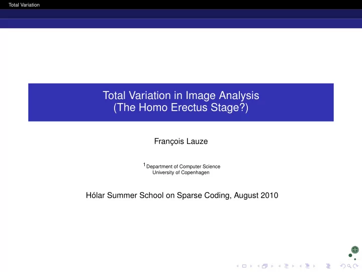 total variation in image analysis the homo erectus stage
