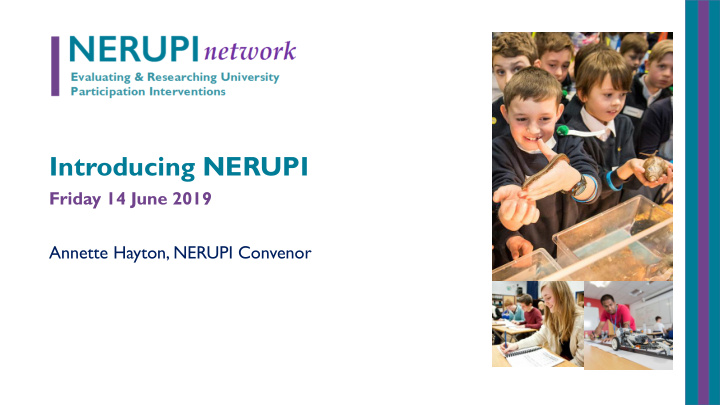 introducing nerupi