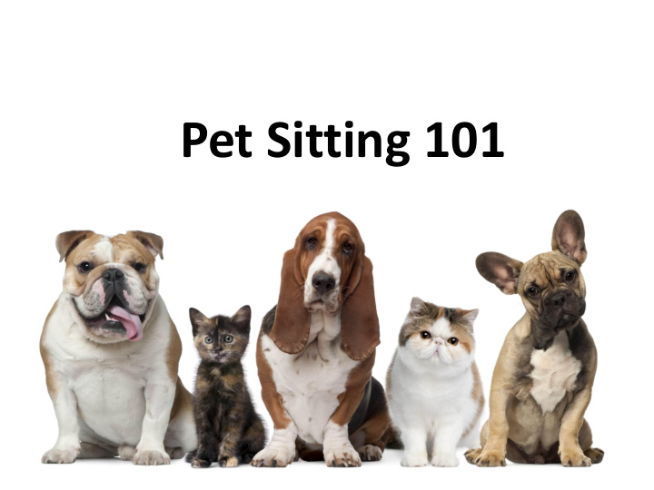 pet sitting 101 pet sitting