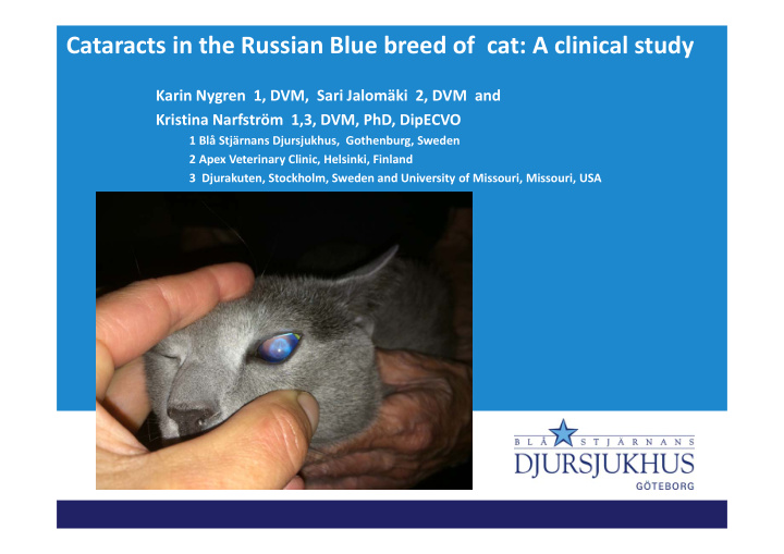 cataracts in the russian blue breed of cat a clinical
