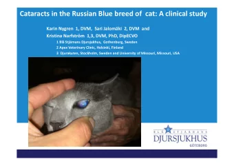 Cataracts in the Russian Blue breed of cat: A clinical study Karin Nygren 1, DVM, Sari Jalomki 2,
