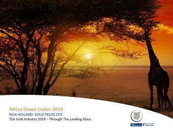 Africa Down Under 2019  NICK HOLLAND: GOLD FIELDS CEO The Gold Industry 2019  Through The