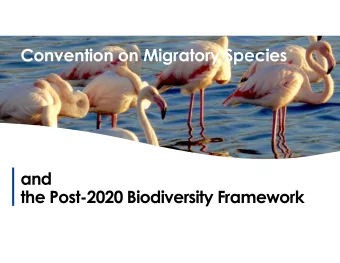 Convention on Migratory Species  and  the Post-2020 Biodiversity Framework  Convention on Migratory