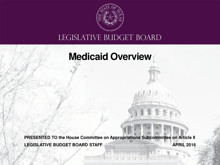 medicaid overview