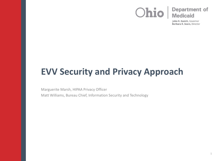 evv security and privacy approach