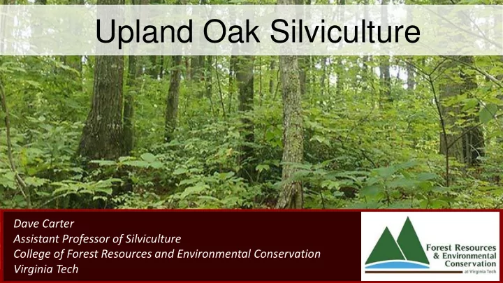 upland oak silviculture