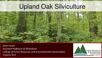 Upland Oak Silviculture  Dave Carter  Assistant Professor of Silviculture  College of Forest