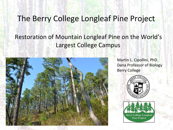 the berry college longleaf pine project