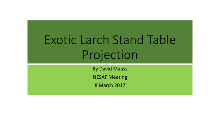 exotic larch stand table projection
