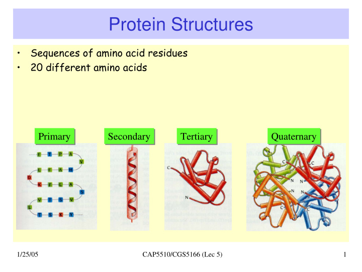 protein structures