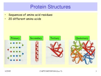 Protein Structures    Sequences of amino acid residues    20 different amino acids  Primary