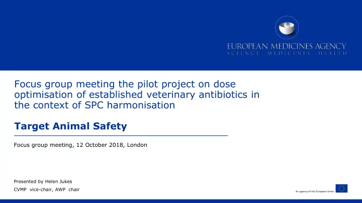 focus group meeting the pilot project on dose
