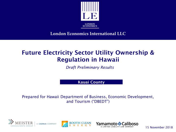 future electricity sector utility ownership amp