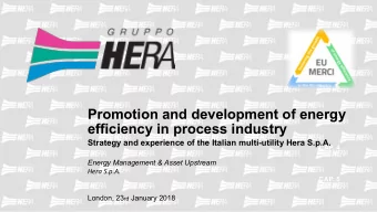 Promotion and development of energy  CAP. 3  efficiency in process industry  Strategy and