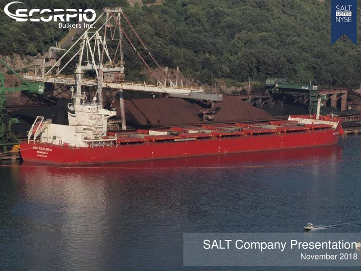 salt company presentation